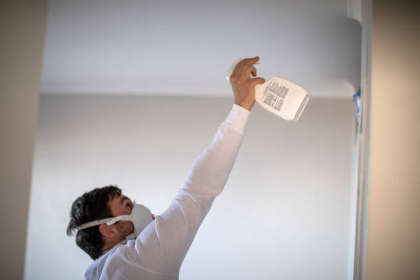 Best Fast Mold Removal  in Magnolia, NJ