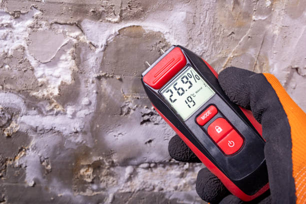 Best Crawl Space Mold Removal  in Magnolia, NJ